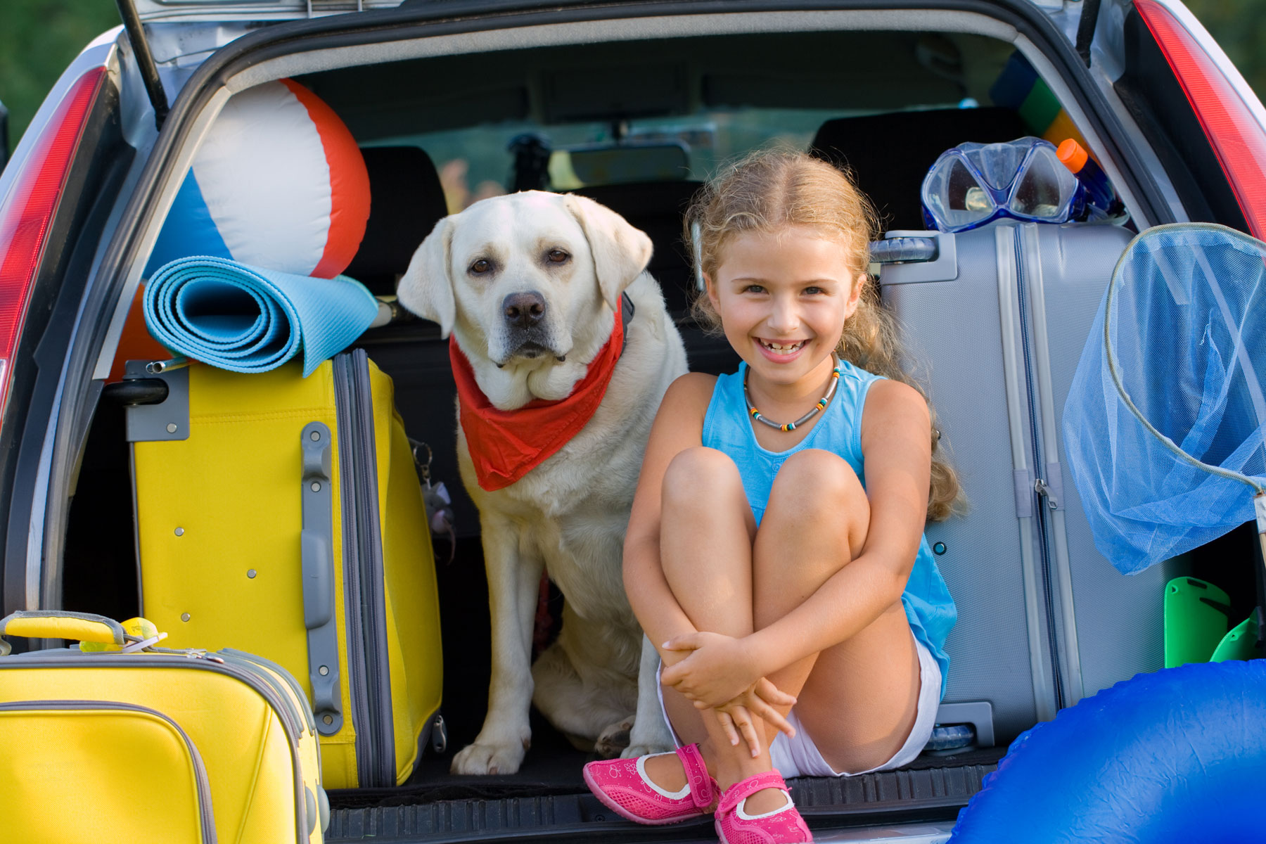 Over 90% of long-distance holiday travel is by car and while some dogs in p...