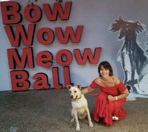 Bow-wow-meow-ball-HomeoPet