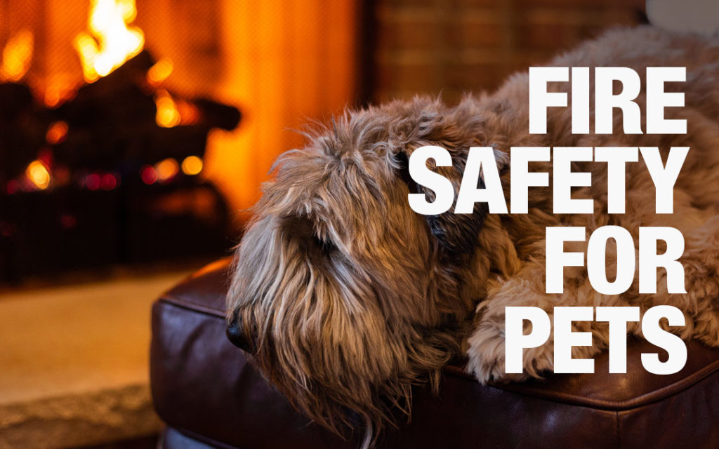 Fire Safety, For You And Your Pets HomeoPet