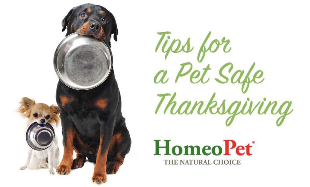 PetSafe_Thanksgiving_Tips