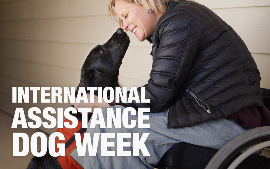 International Assistance Dog Week HomeoPet