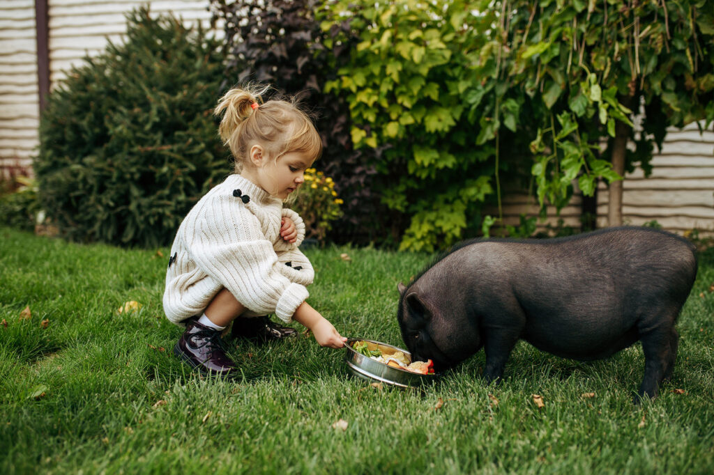 girl-with-potbelly-pig