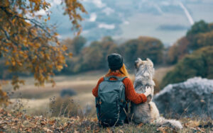 hiking wiith your dog