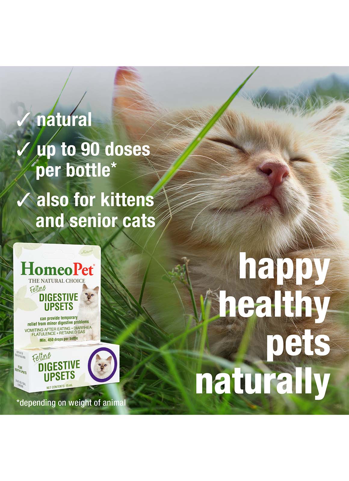 FELINE DIGESTIVE UPSETS HomeoPet UK