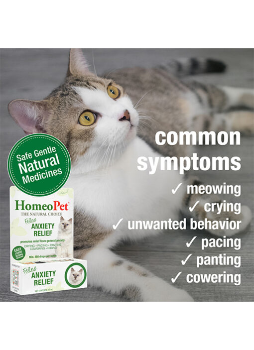 FELINE ANXIETY RELIEF - Image 4
