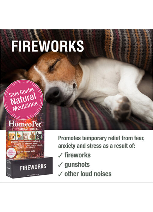 FIREWORKS - Image 3