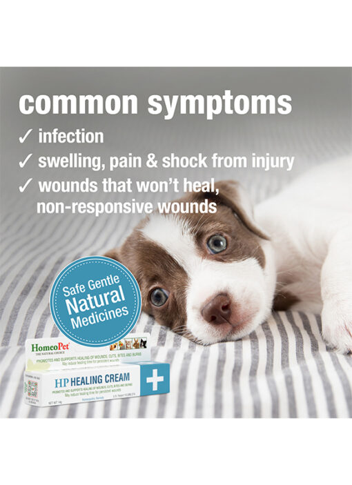 HP HEALING CREAM - Image 4