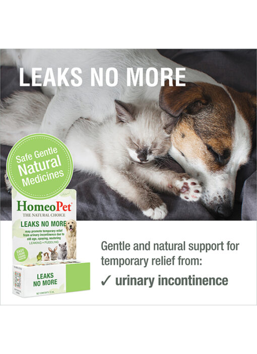LEAKS NO MORE - Image 3