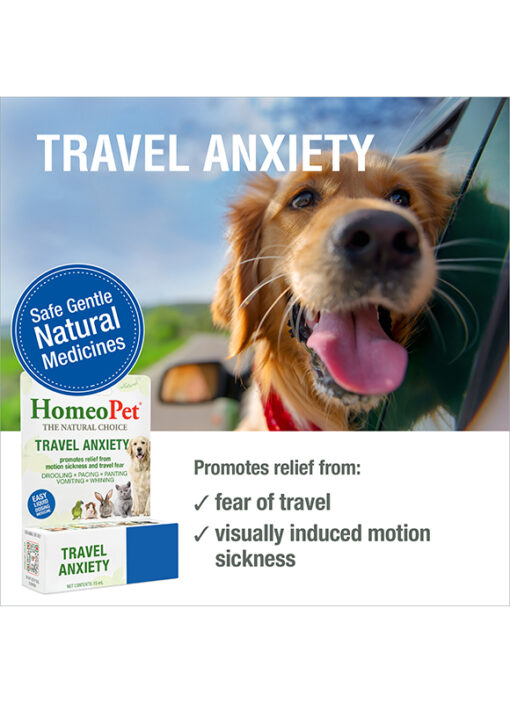TRAVEL ANXIETY - Image 3
