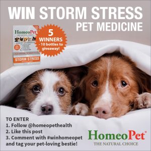 HP_StormStress