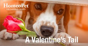 Pet_Valentines