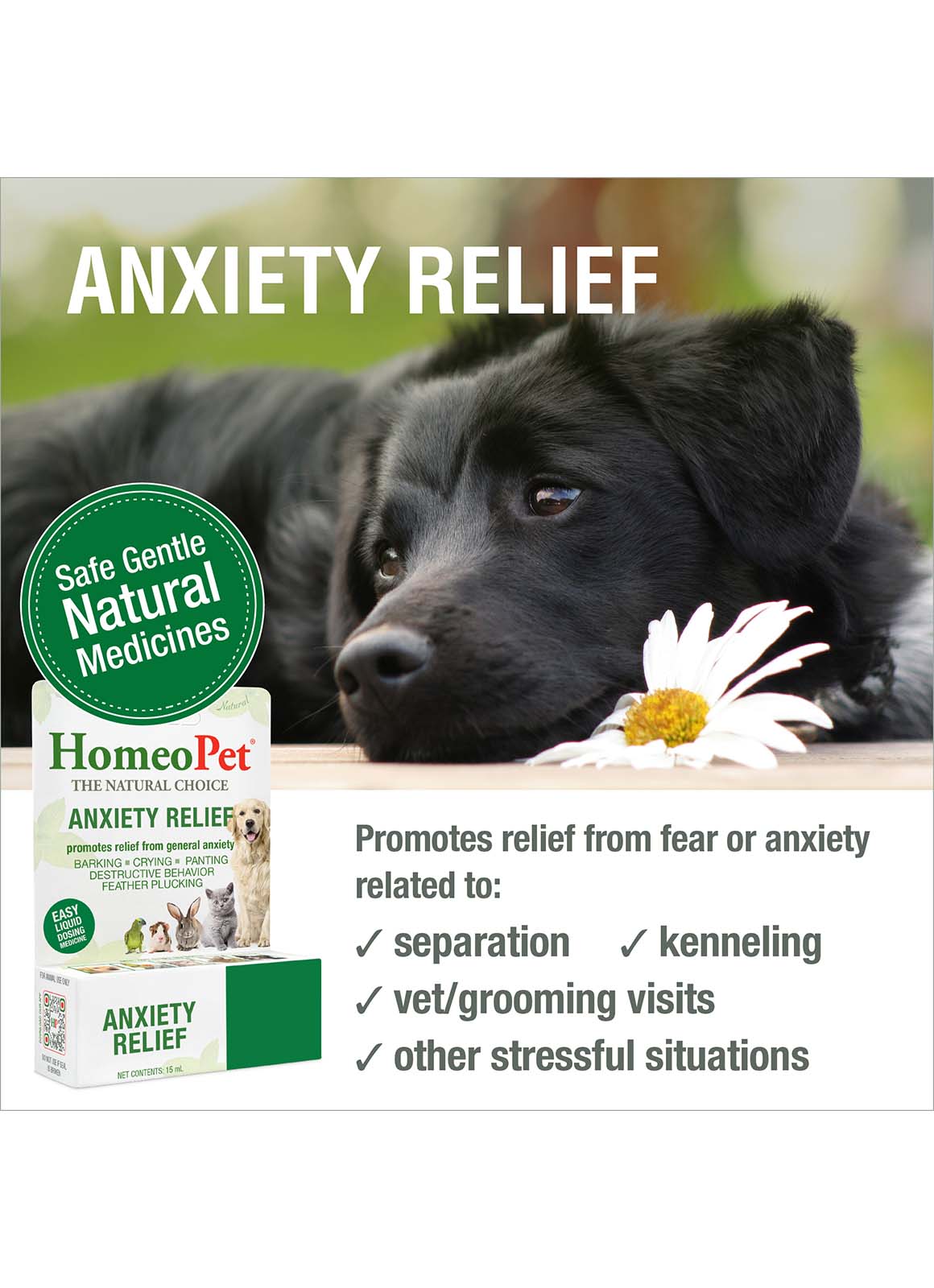 ANXIETY RELIEF - Image 3