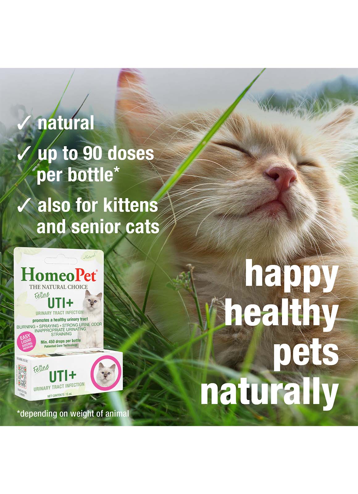 FELINE UTI+ - Image 5