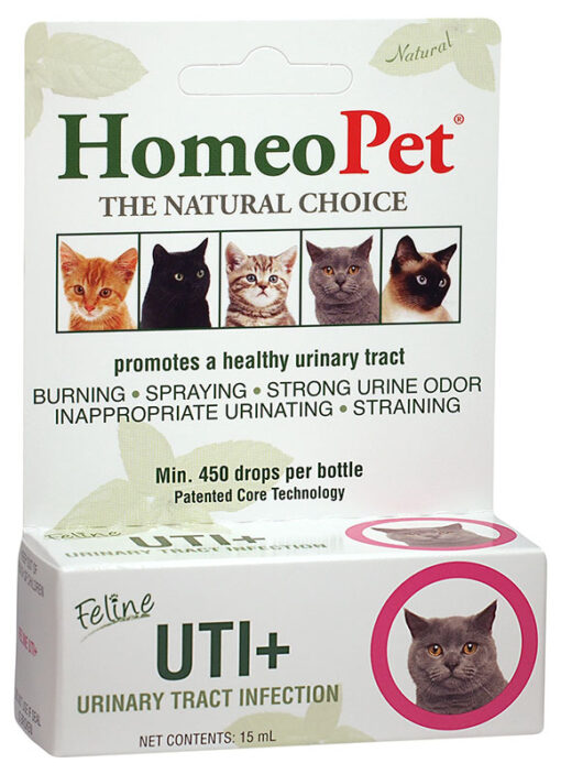 female cat urinary blockage home remedy