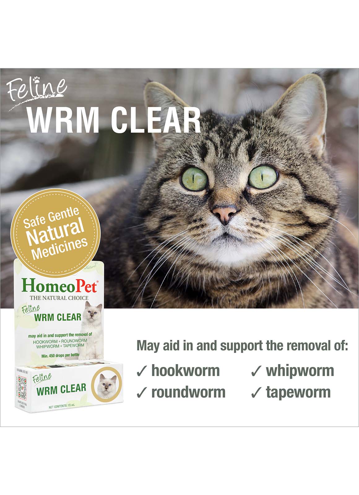FELINE WRM CLEAR - Image 3