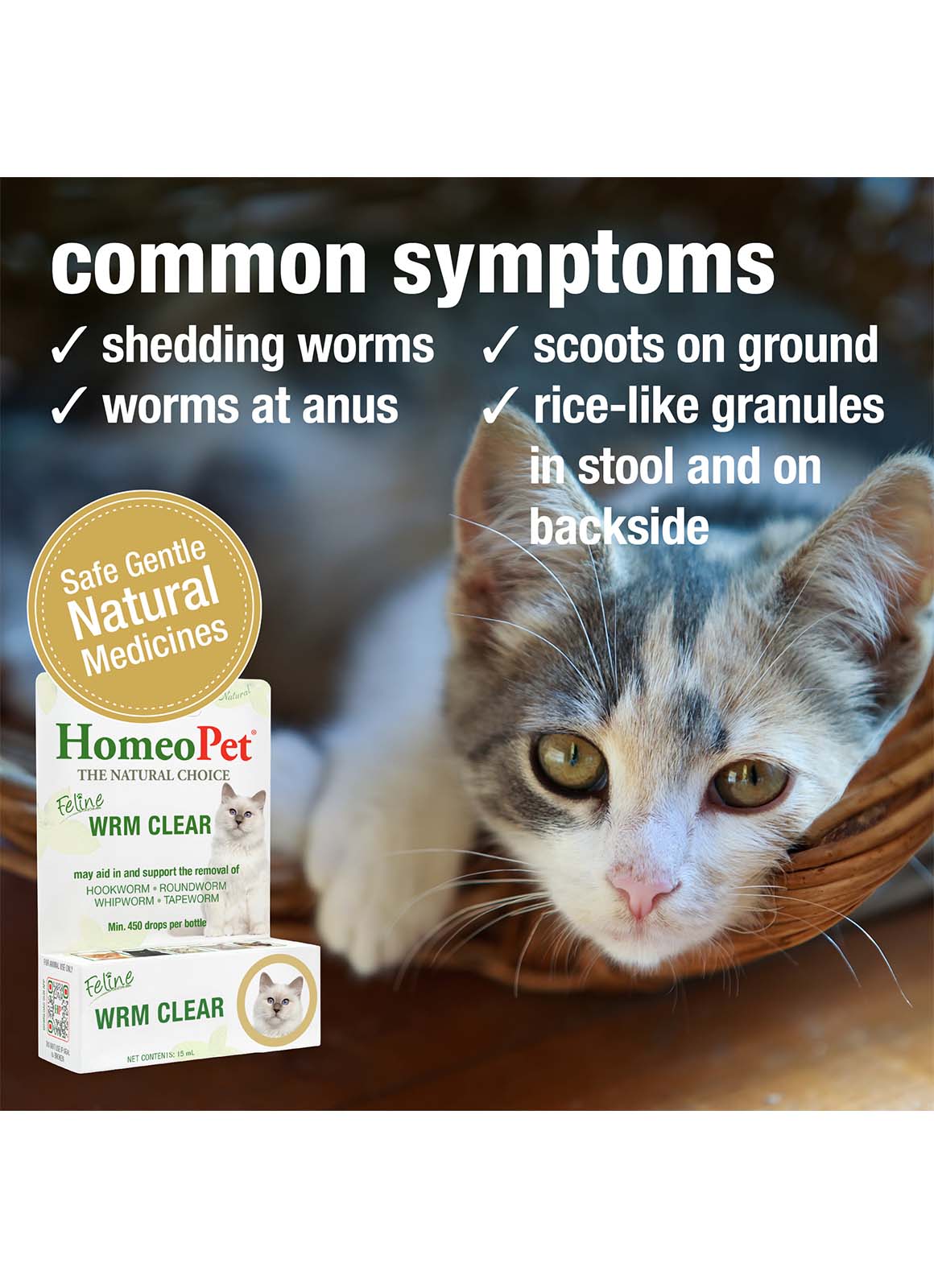 FELINE WRM CLEAR - Image 4