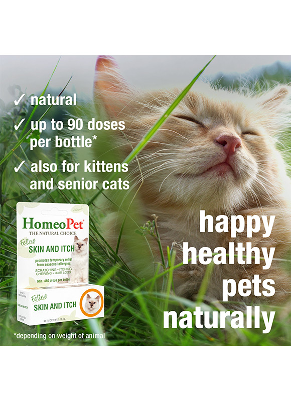 Allergy Medicine Best Cat Food For Food Allergies Allergy Medicine