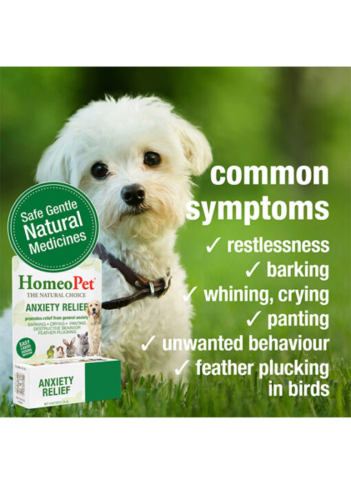 ANXIETY RELIEF - Image 4