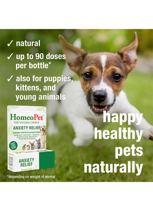 ANXIETY RELIEF - Image 5