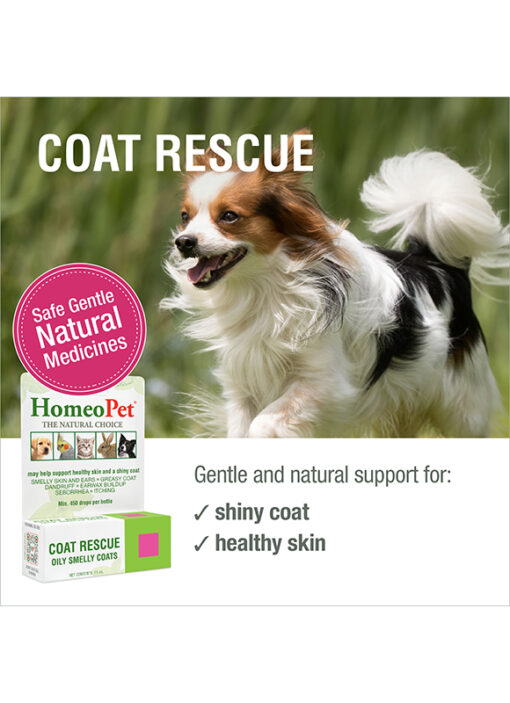 COAT RESCUE - Image 3
