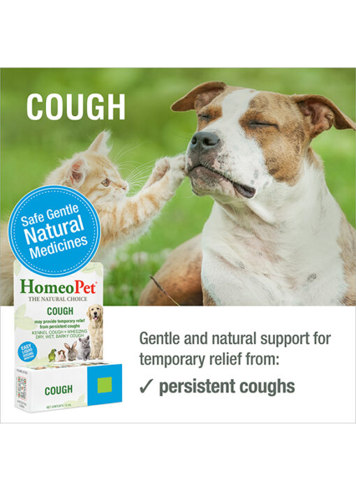 COUGH - Image 3