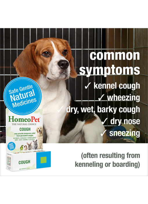 COUGH - Image 4