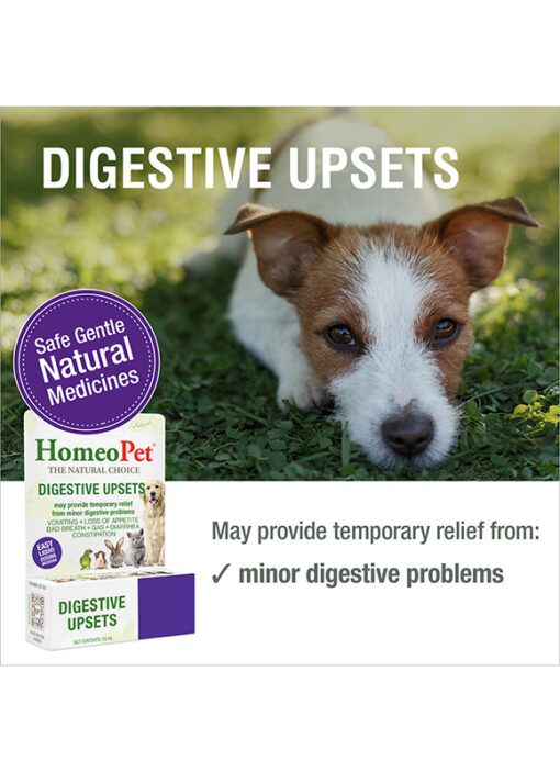 DIGESTIVE UPSETS - Image 3