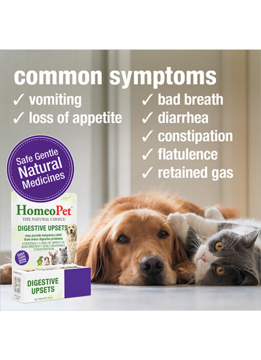 DIGESTIVE UPSETS - Image 4