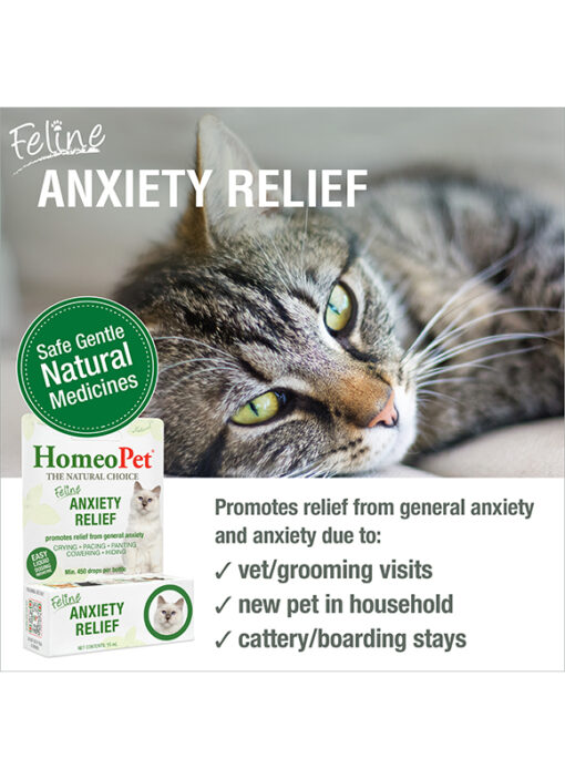 FELINE ANXIETY RELIEF - Image 3