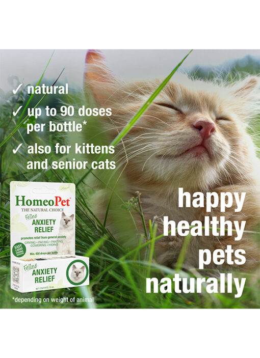 FELINE ANXIETY RELIEF - Image 5