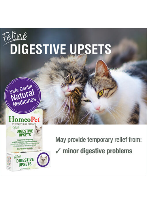 FELINE DIGESTIVE UPSETS - Image 3