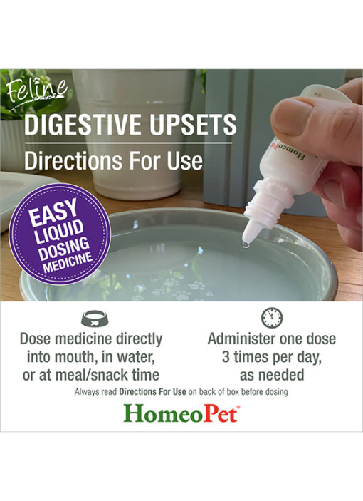 FELINE DIGESTIVE UPSETS - Image 6