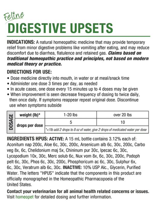 FELINE DIGESTIVE UPSETS - Image 2