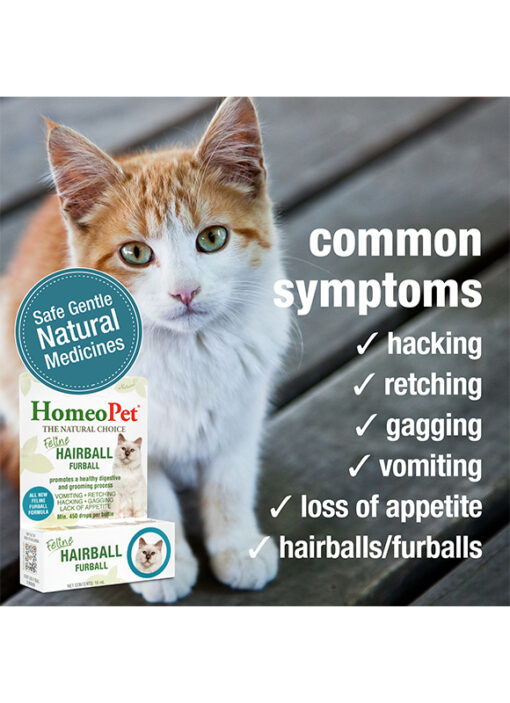 FELINE HAIRBALL FURBALL - Image 4