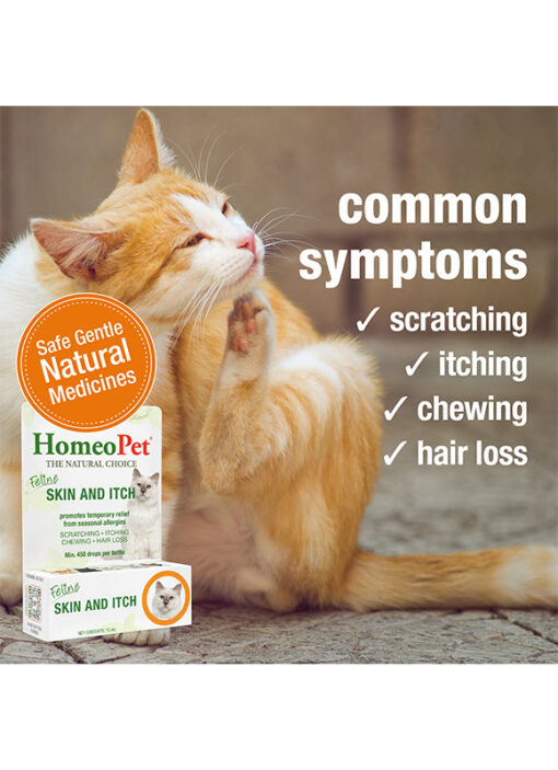 FELINE SKIN AND ITCH - Image 4