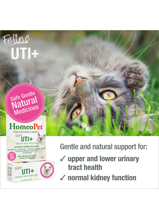 FELINE UTI+ - Image 3