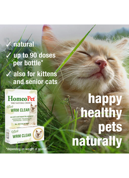 FELINE WRM CLEAR - Image 5
