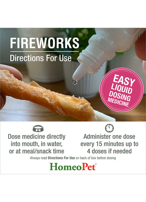 FIREWORKS - Image 6
