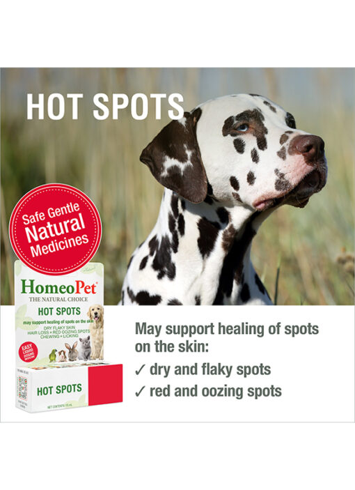 HOT SPOTS - Image 3