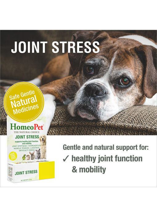 JOINT STRESS - Image 3