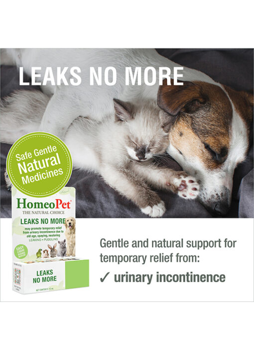LEAKS NO MORE - Image 3