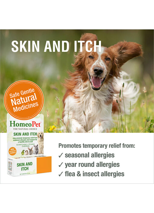 SKIN AND ITCH - Image 3