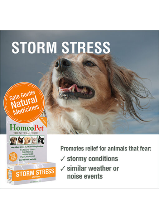 STORM STRESS (all weights) - Image 3