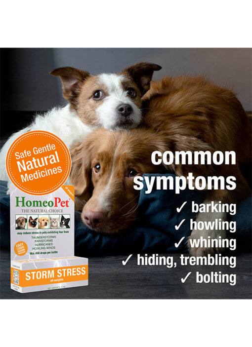 STORM STRESS (all weights) - Image 4