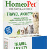 TRAVEL ANXIETY