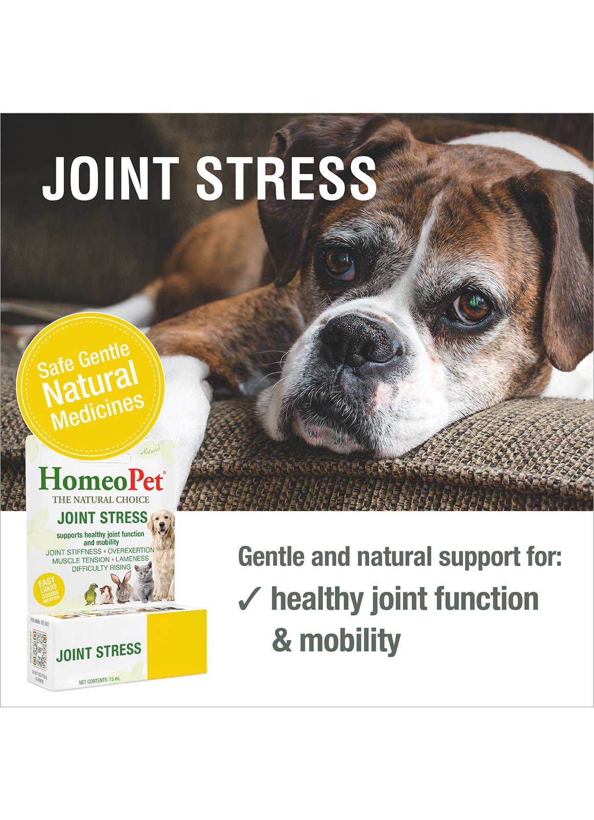 JOINT STRESS - Image 3