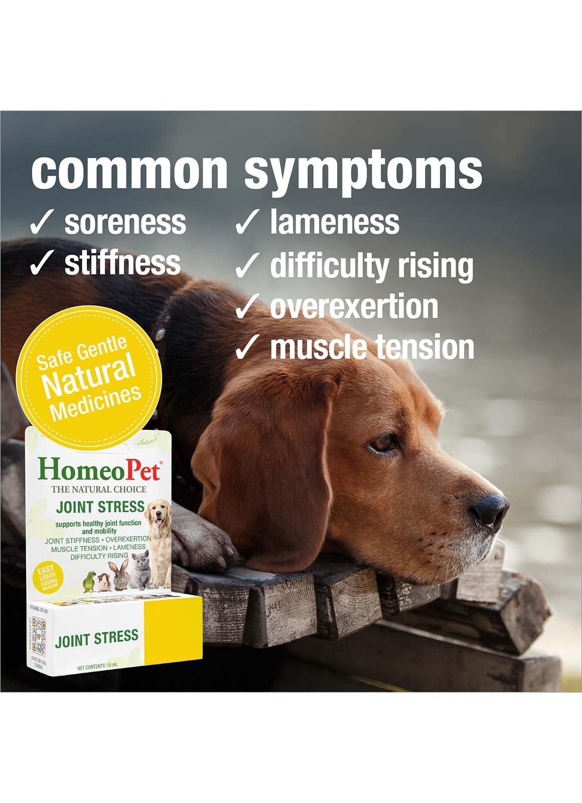 JOINT STRESS - Image 4