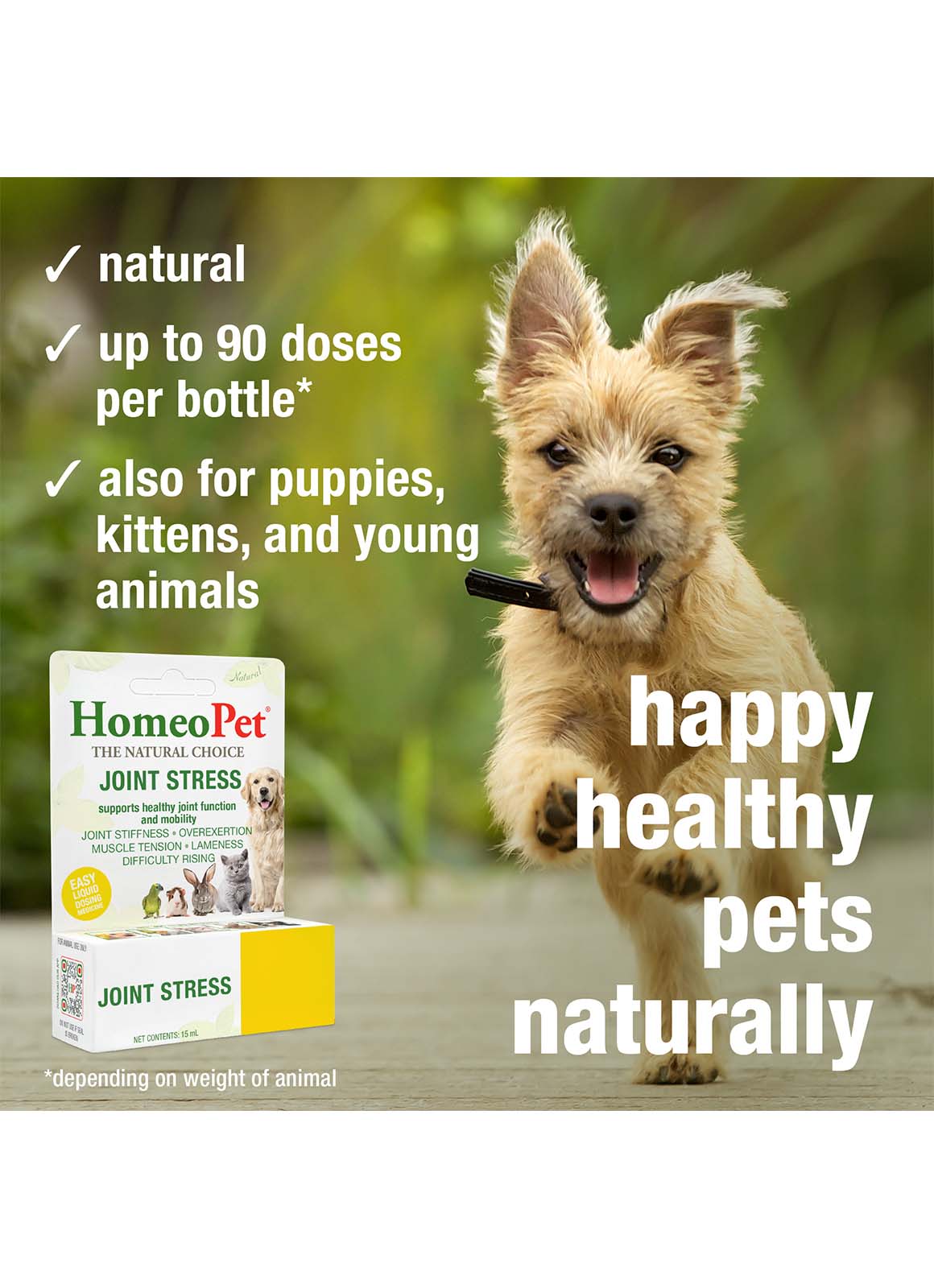 JOINT STRESS - Image 5