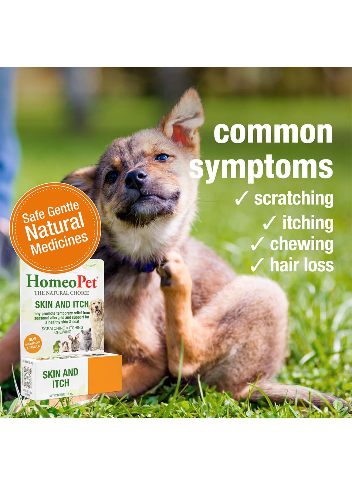 SKIN AND ITCH - Image 4