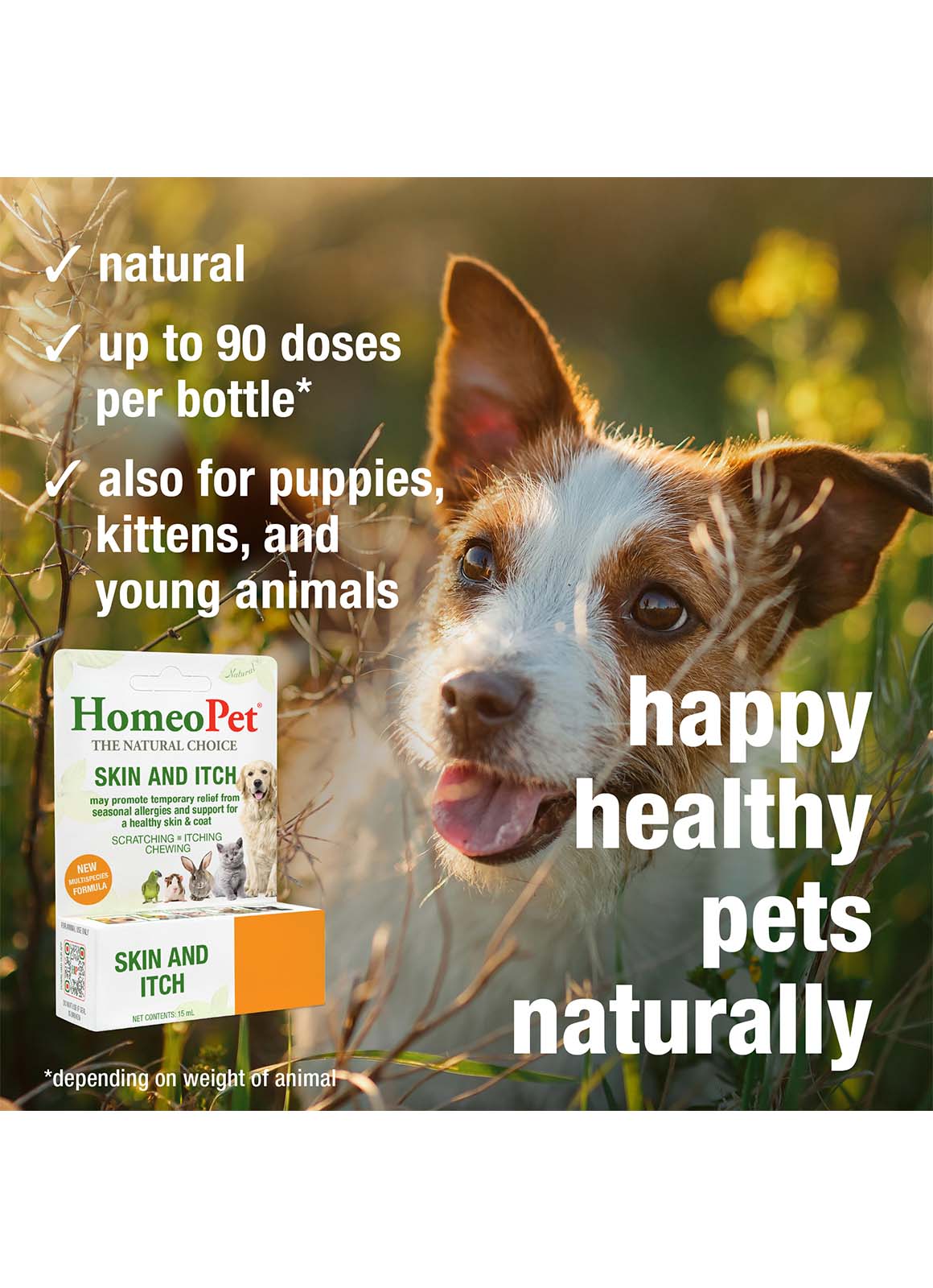 SKIN AND ITCH - Image 5